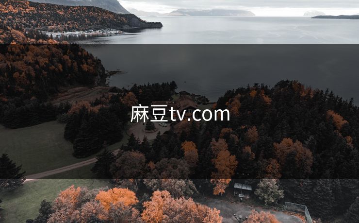 麻豆tv.com