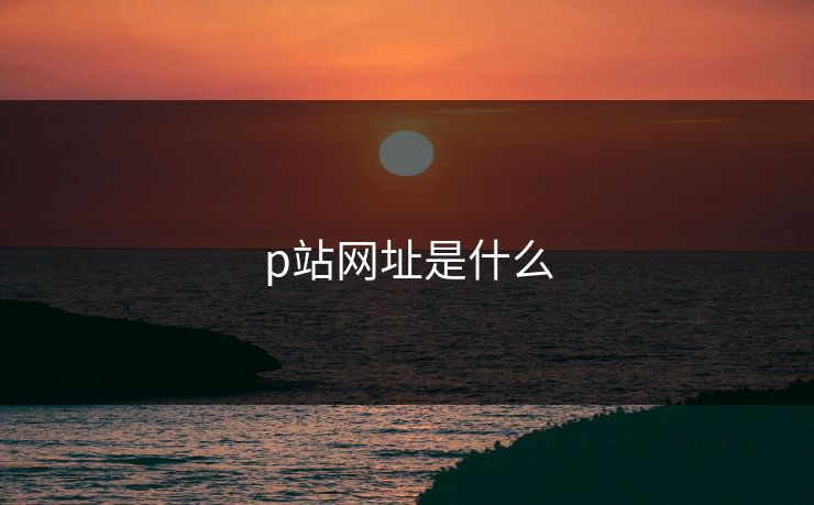 p站网址是什么