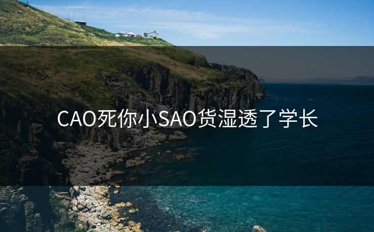 CAO死你小SAO货湿透了学长