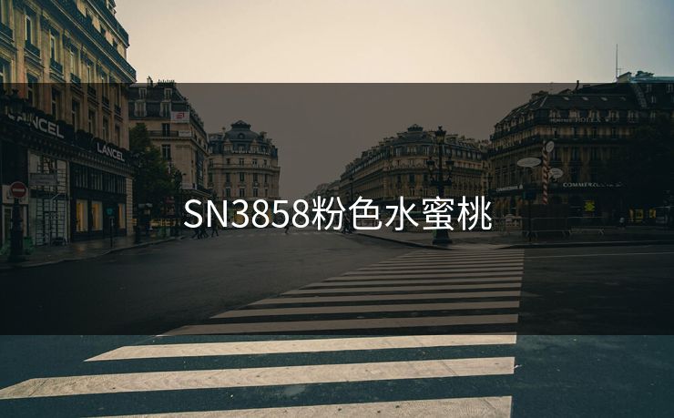SN3858粉色水蜜桃