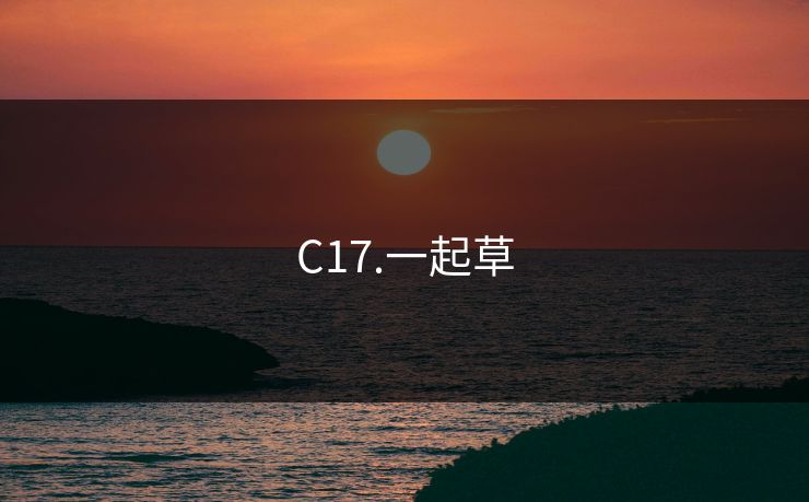 C17.一起草